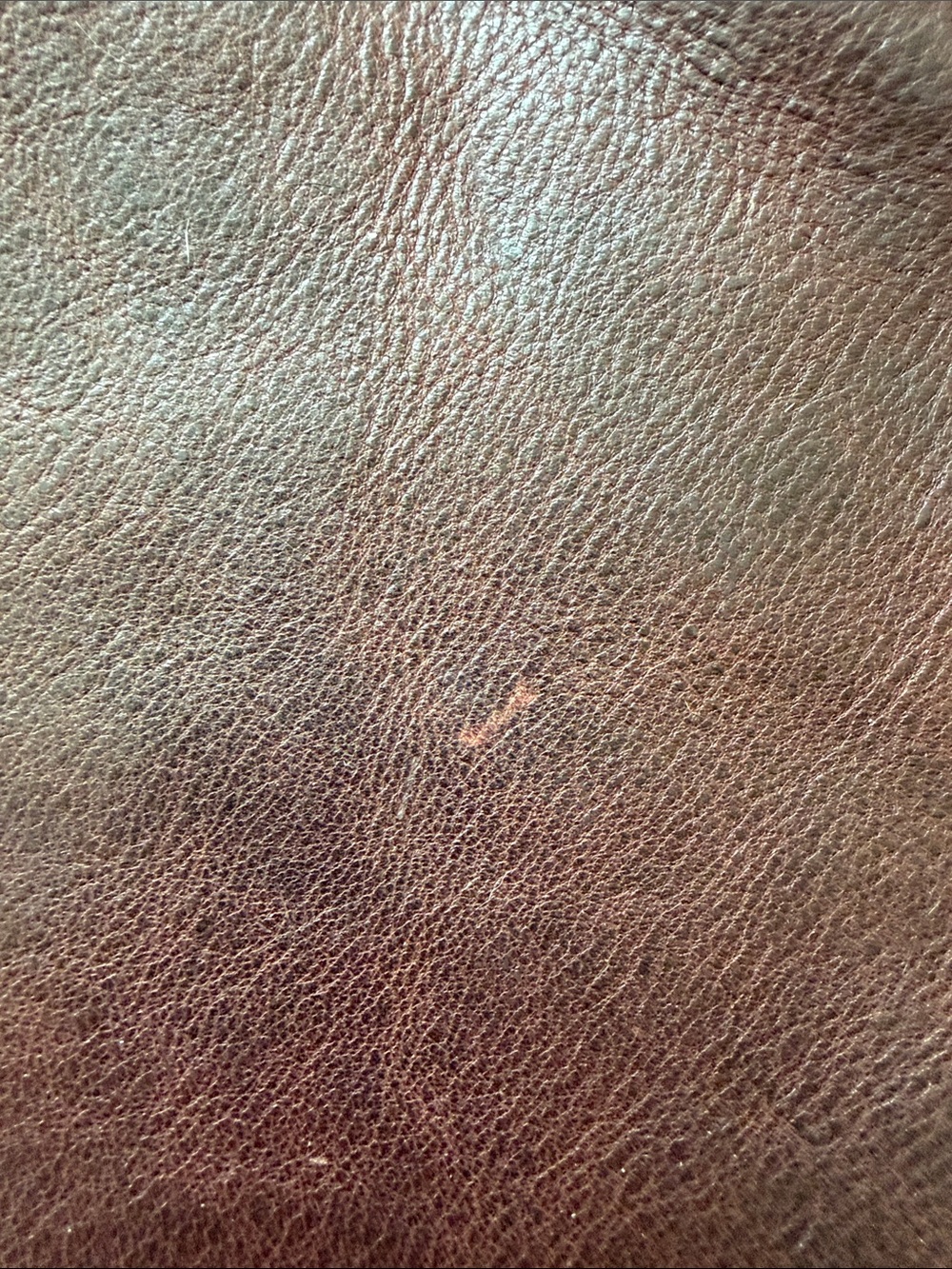 Portland Leather Oxblood Classic Small Tote 🦄 - Picture 5 of 8